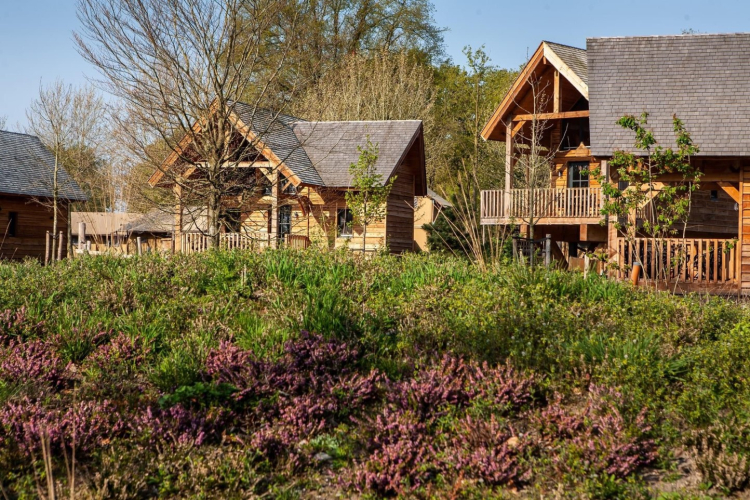 Prachtige circulaire woningen